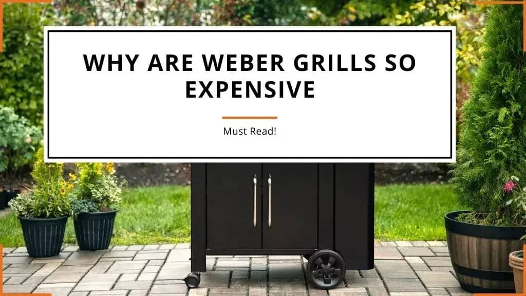 Why Are Weber Grills So Expensive (The Reason Revealed)