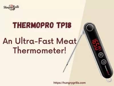 ThermoPro TP18 Review: Meat Thermometer