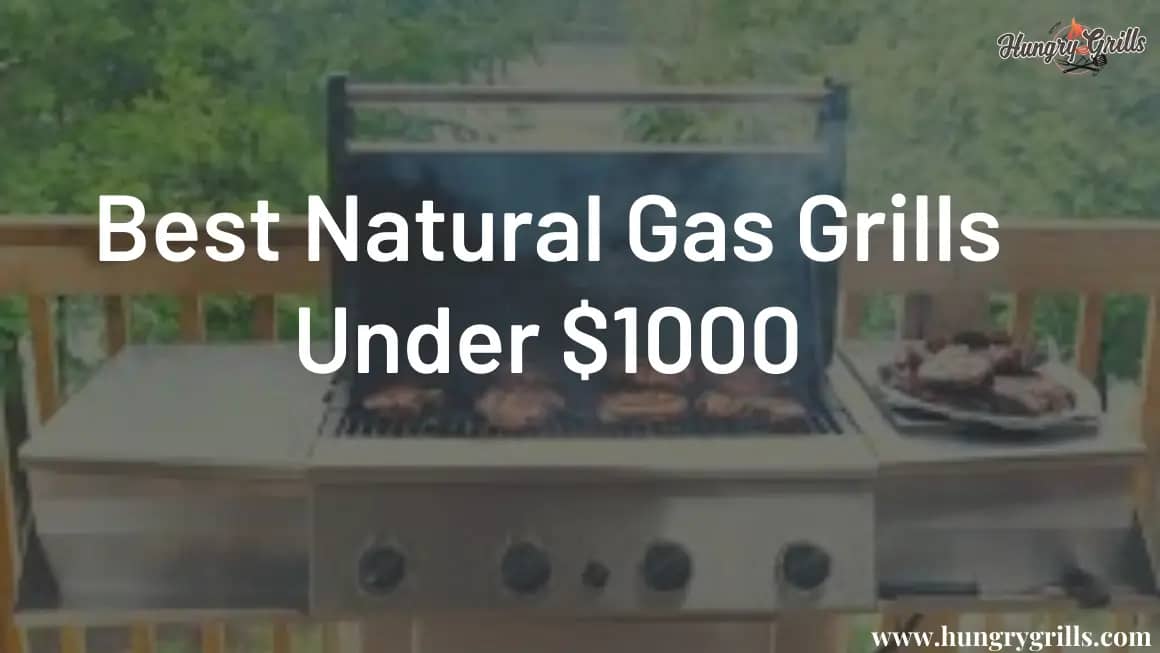 Top 5 Best Natural Gas Grills Under $1000 for 2022