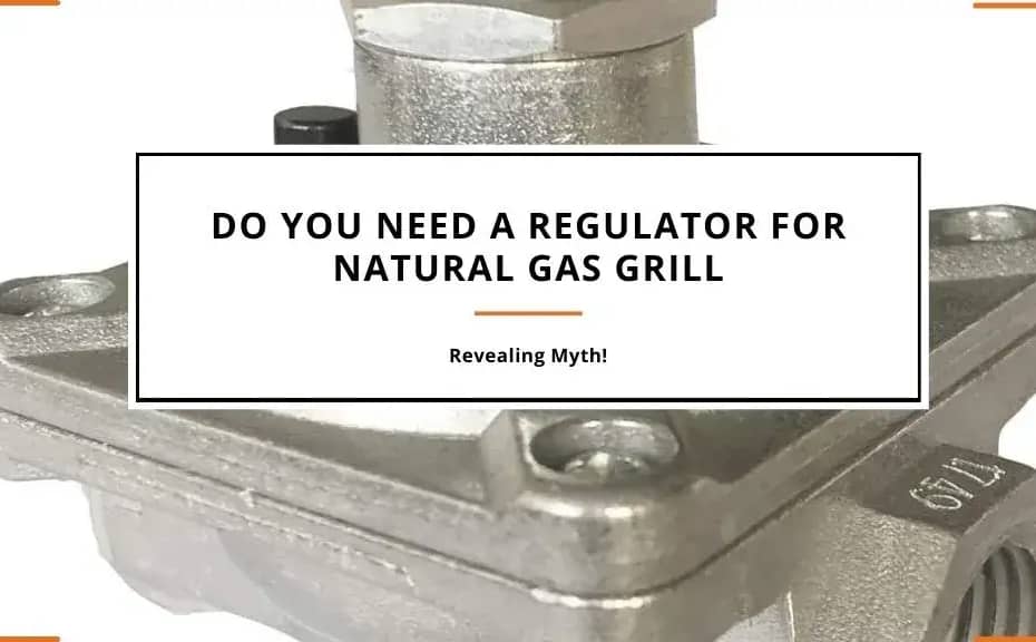 Do You Need a Regulator for Natural Gas Grill