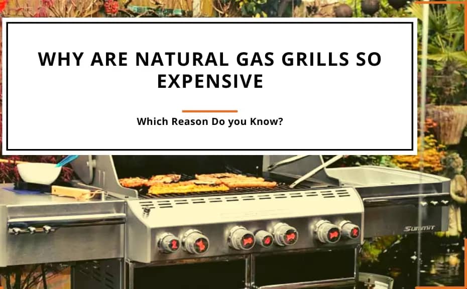 Why Are Natural Gas Grills So Expensive