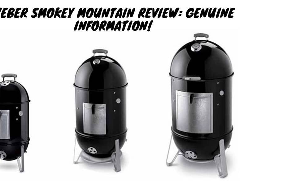 Weber Smokey Mountain Review
