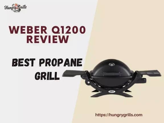 Weber Q1200 Review- Best Portable Propane Gas Grill